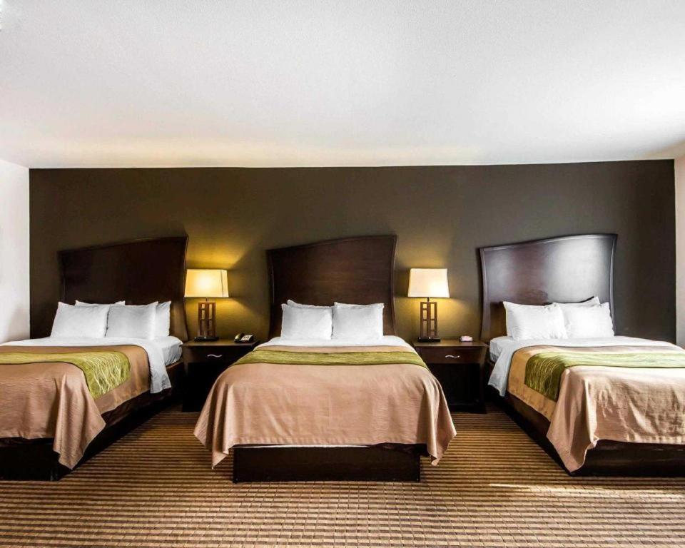 Comfort Inn & Suites Alva Εξωτερικό φωτογραφία